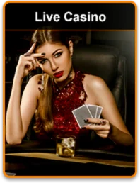 Live Casino at 234win